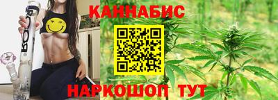 сатива Можга