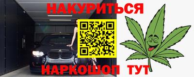 сатива Можга