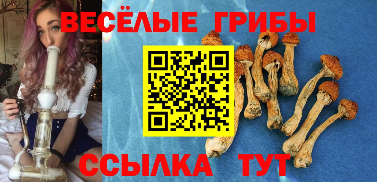 Галлюциногенные грибы Magic Shrooms  сколько стоит  Верхний Уфалей  Вход с VPN 